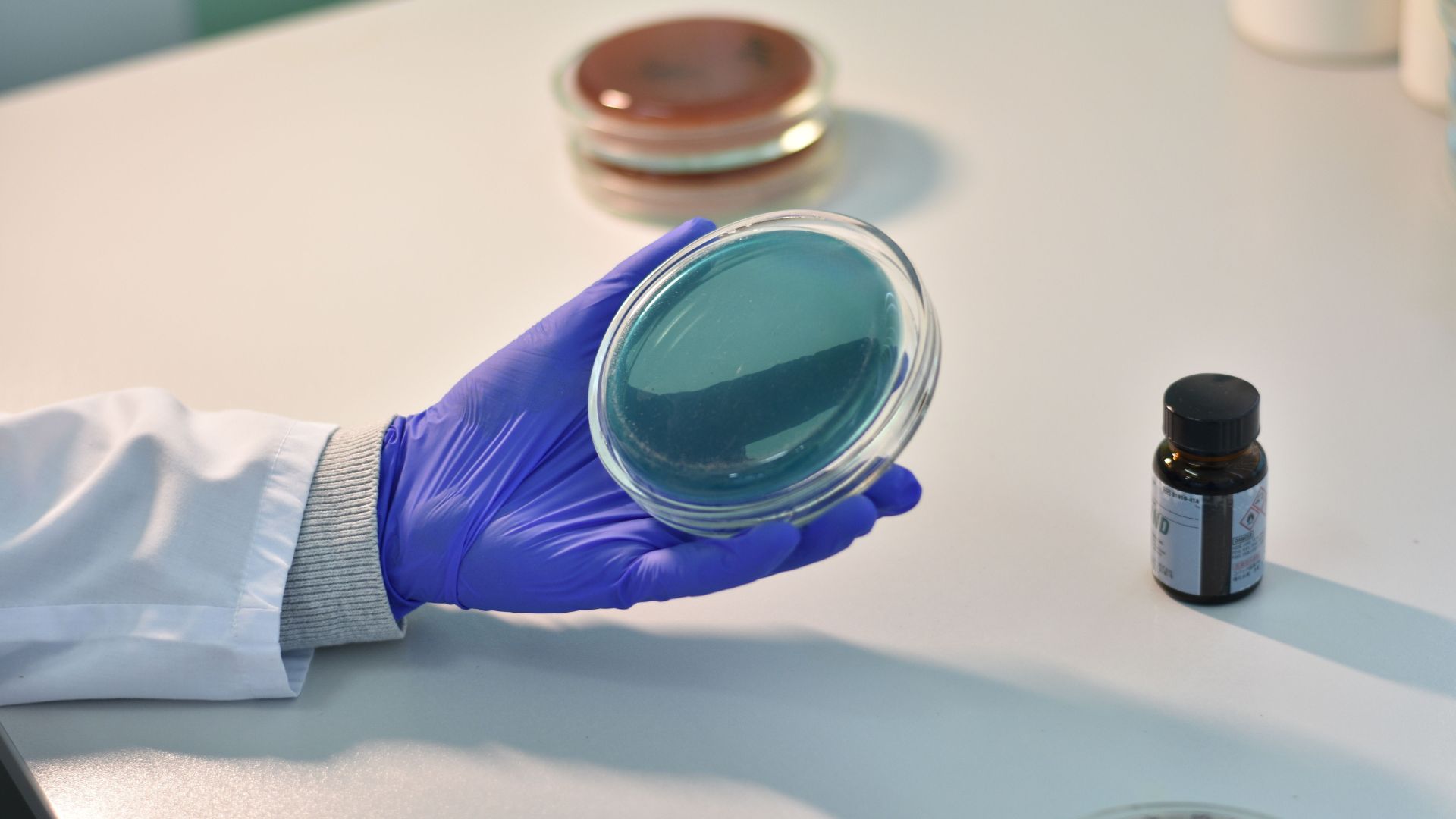 antibacteria